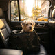 Travel & On the Go