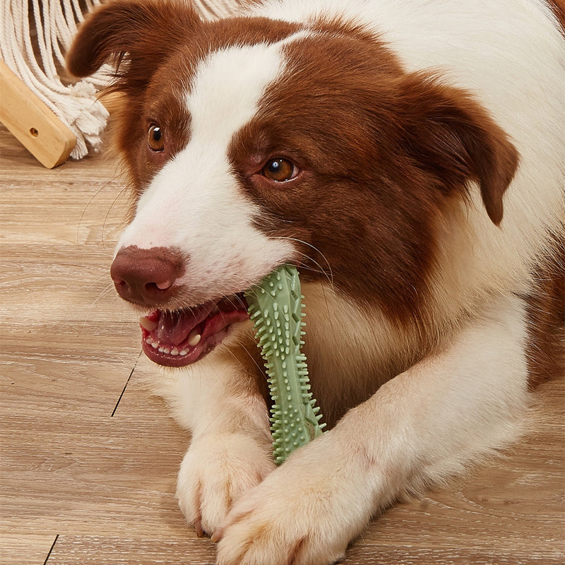Vlazura grooming product