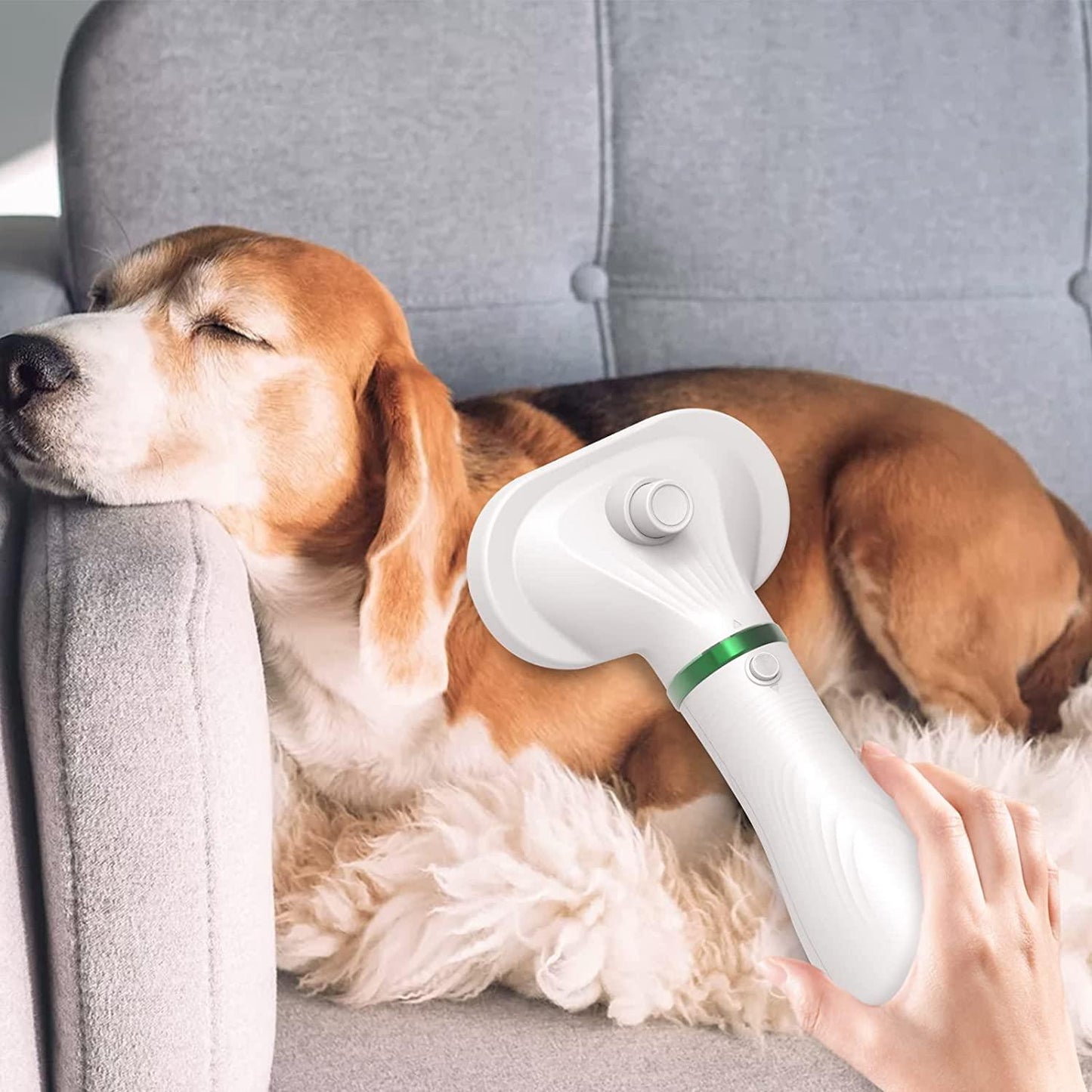 Pet Hair Dryer & Hot Air Blower Drying Comb Brush