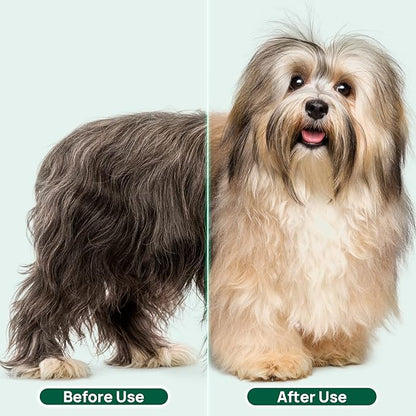 Pet Hair Dryer & Hot Air Blower Drying Comb Brush