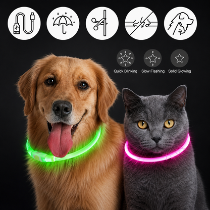 Nightguard Led Dog Collar