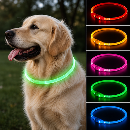 Nightguard Led Dog Collar