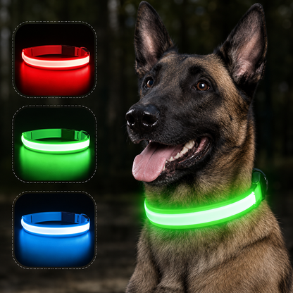 Nightguard Led Dog Collar