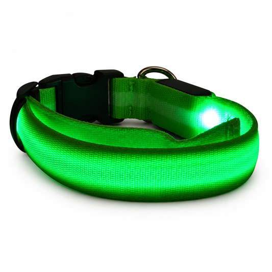 Nightguard Led Dog Collar