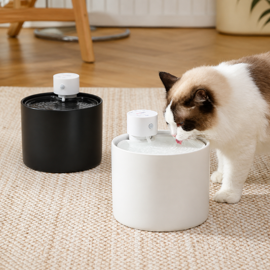 Automatic Cat Water Fountain (Filtered)