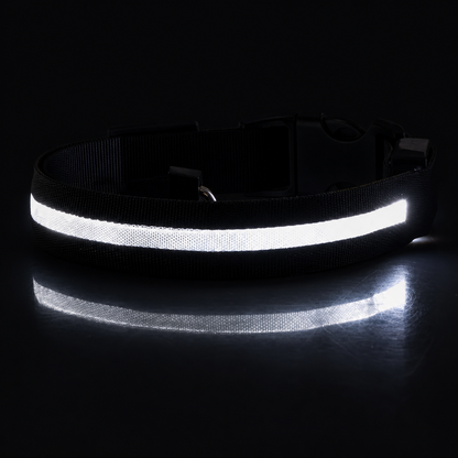 Nightguard Led Dog Collar
