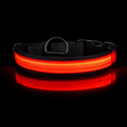 Nightguard Led Dog Collar