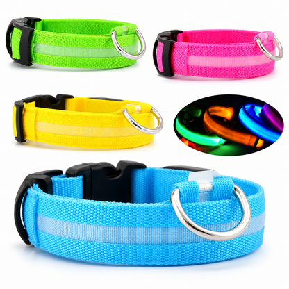 Nightguard Led Dog Collar